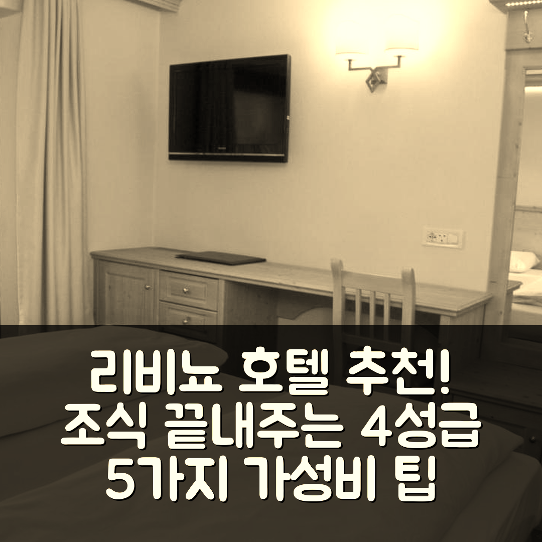 리비뇨 숙소 여행 호텔 추천 알렉산더 샤르메 호텔 | 4성급 조식과 가성비 뛰어난 위치 5가지 팁