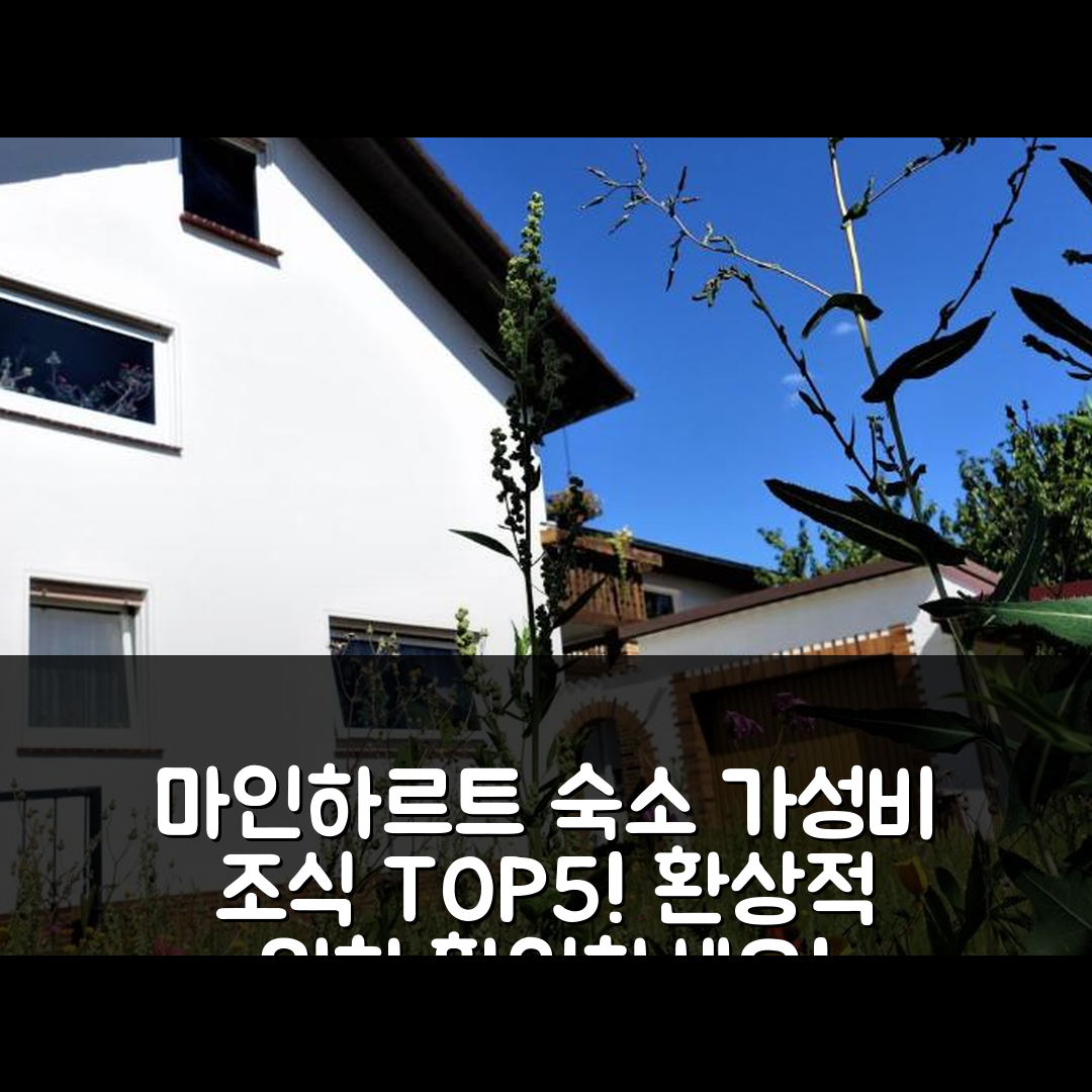 마인하르트 숙소 여행 호텔 추천 페어리노붕-엠8 | 가성비 뛰어난 조식과 환상적 위치의 5가지 매력