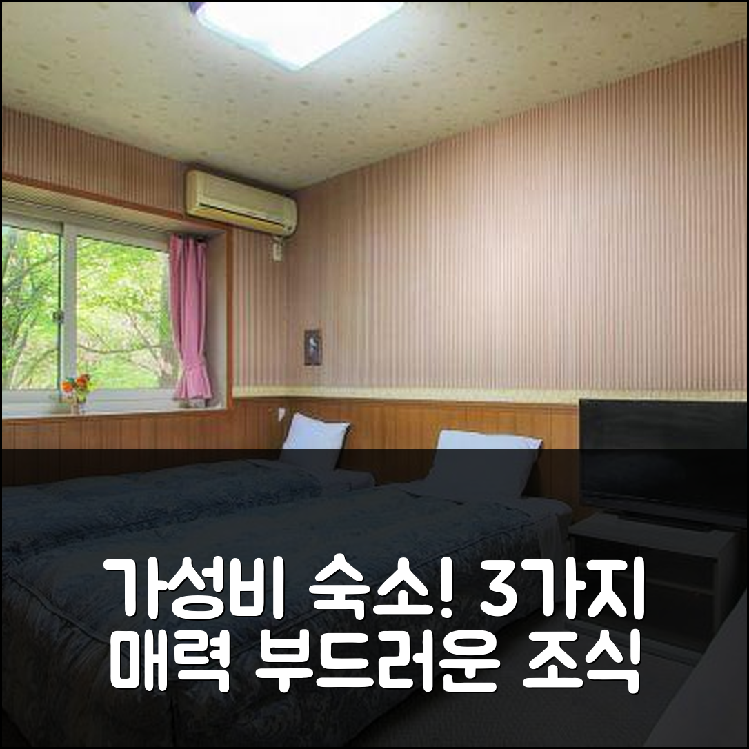 나스 숙소 여행 호텔 추천 아니말레 안넥스 | 가성비 뛰어난 위치와 조식이 매력적인 5가지 이유