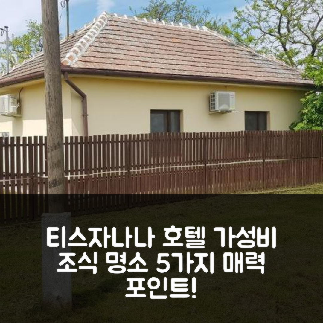 티스자나나 숙소 여행 호텔 추천 사루디 벤데가즈 | 가성비 높은 조식과 위치가 매력적인 5가지 이유