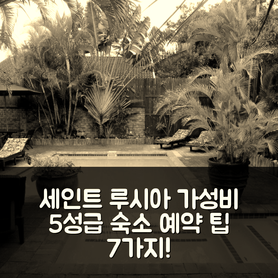 세인트 루시아 에스투아리 숙소 여행 방가지 로지 | 조식과 가성비 좋은 5성급 예약 팁 7가지