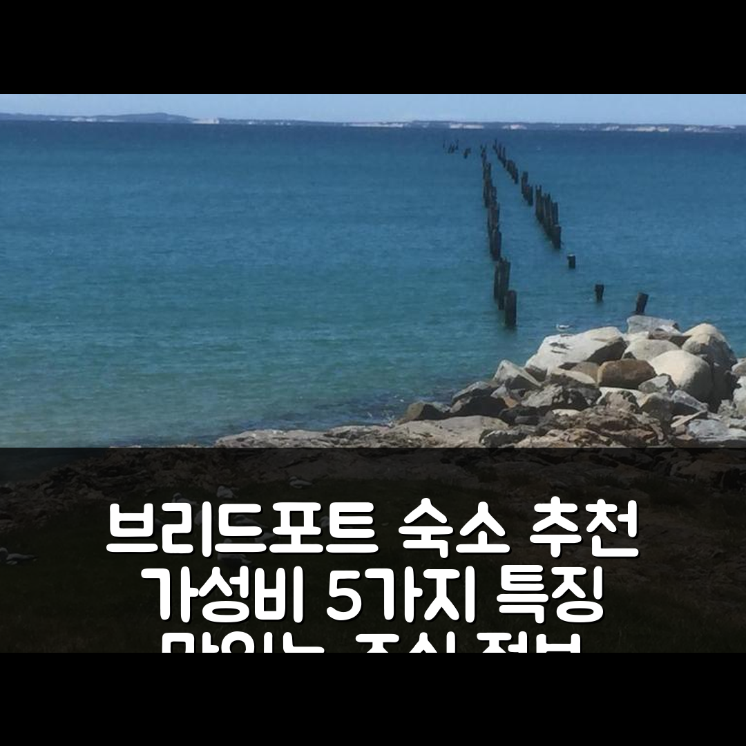 브리드포트 숙소 여행 호텔 추천 올드 피어 아파트먼트 | 가성비 최고의 5가지 특징과 조식 정보
