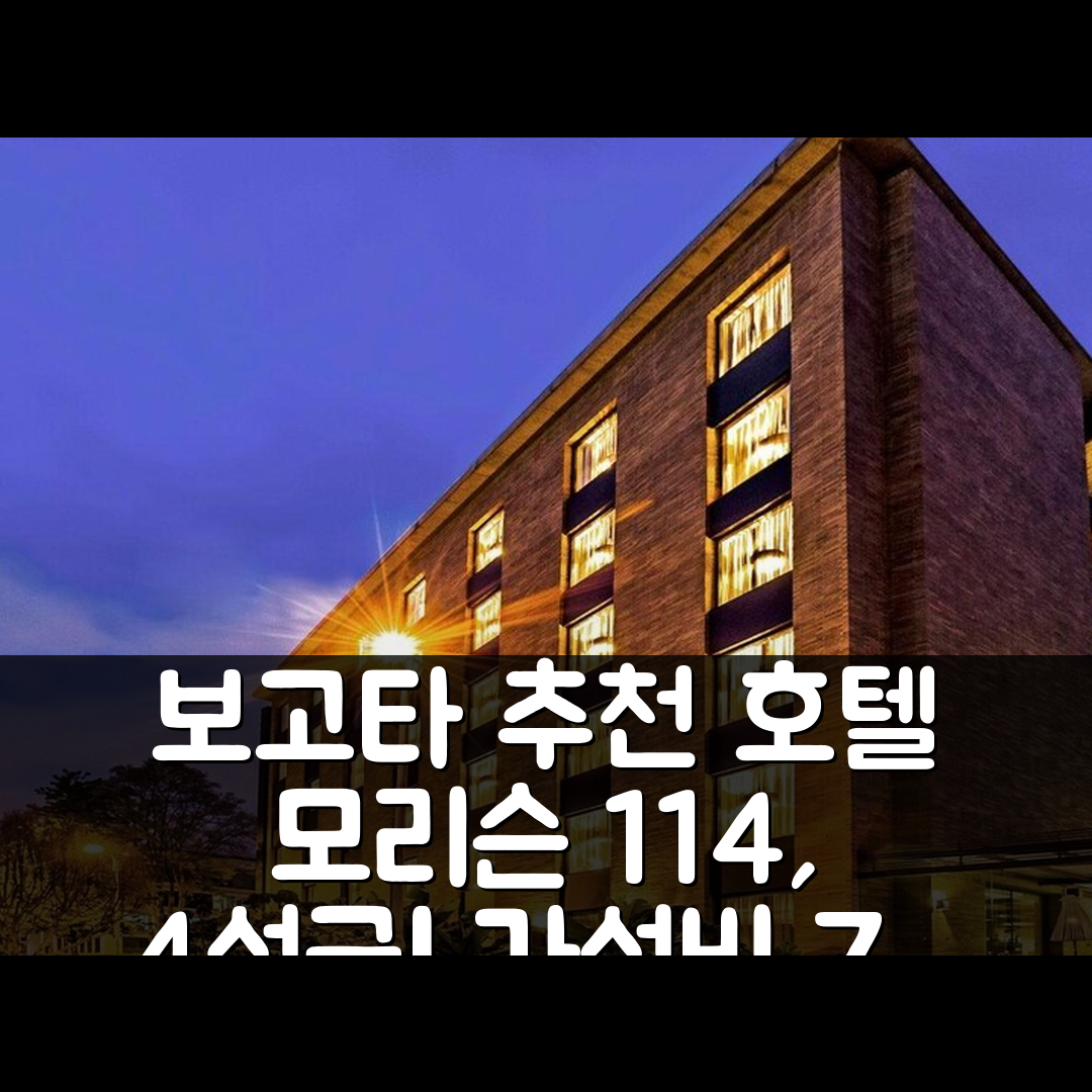 보고타 숙소 여행 호텔 추천 호텔 모리슨 114 | 4성급 조식과 수영장 가성비 좋은 7가지 이유