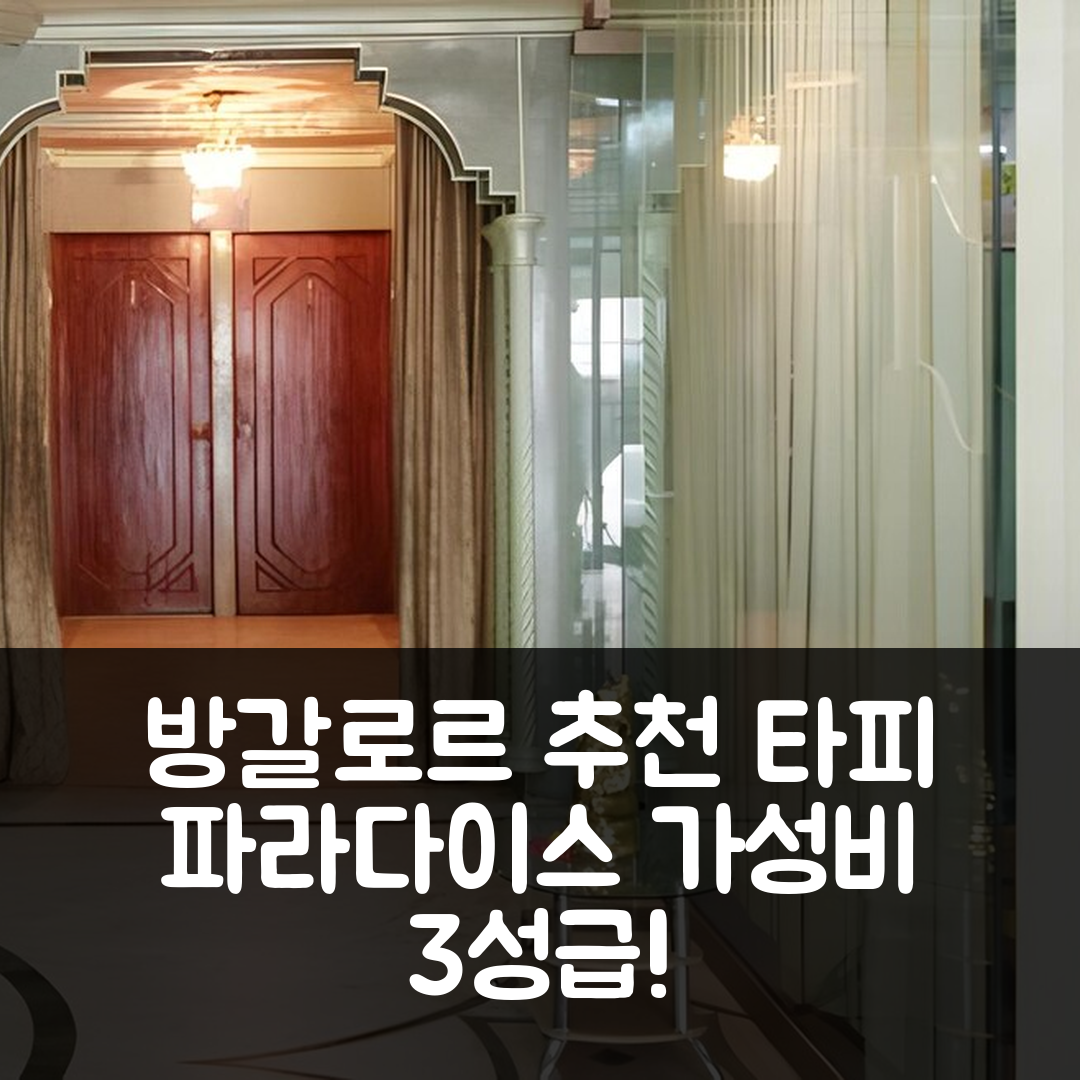 방갈로르 숙소 여행 호텔 추천 타피 파라다이스 | 가성비 뛰어난 3성급 조식과 수영장 위치 7가지 팁