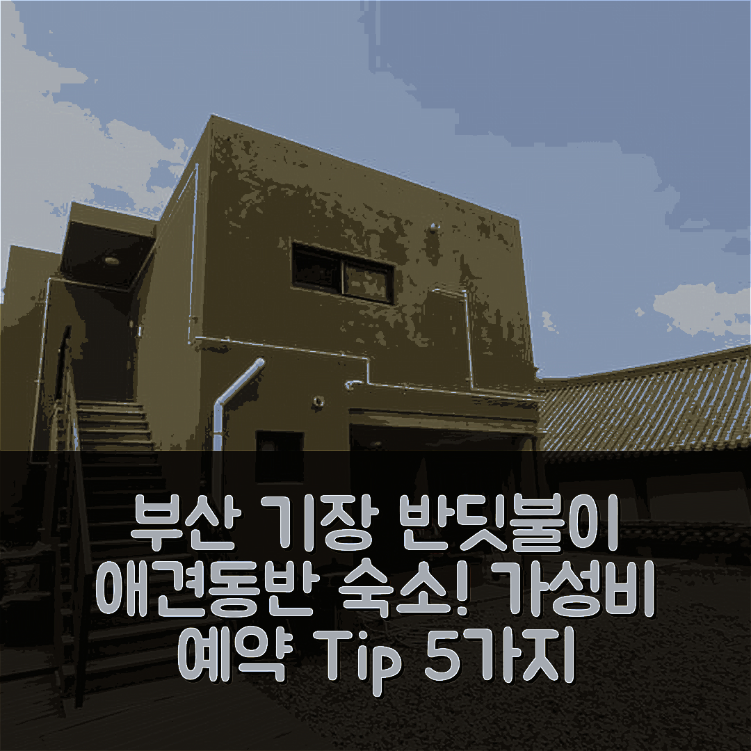 부산 숙소 여행 호텔 추천 기장반딧불이펜션 | 애견동반 가능 가성비와 위치, 예약 팁 5가지