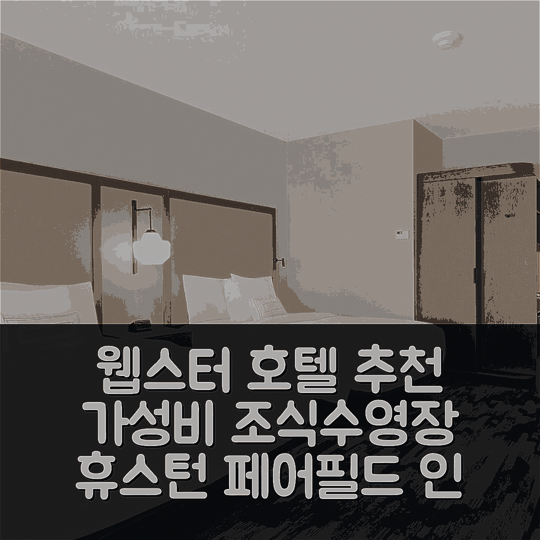 웹스터 숙소 여행 호텔 추천 페어필드 인 앤 스위트 휴스턴 나사 웹스터 | 가성비 뛰어난 조식과 수영장 정보 7가지