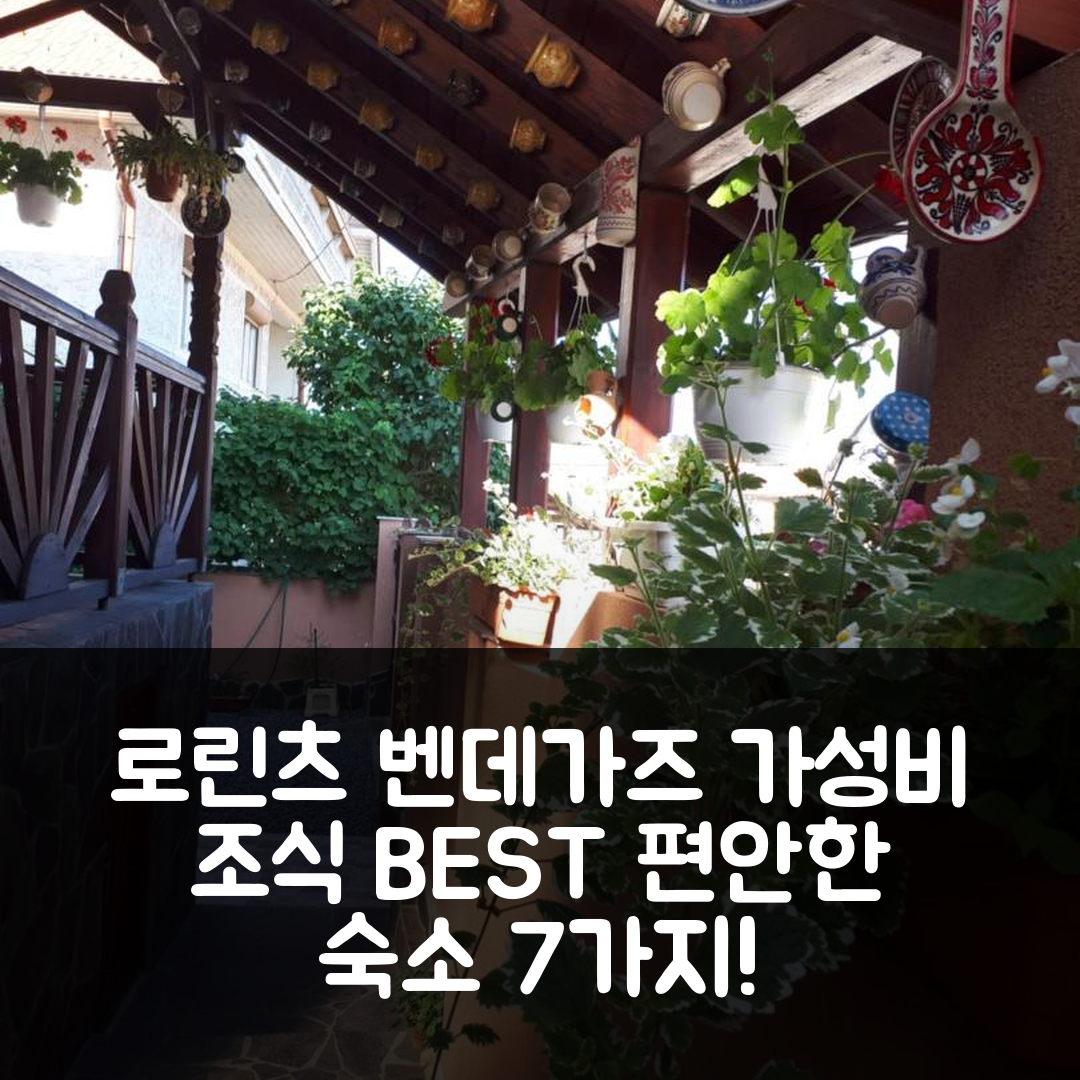 코룬드 숙소 여행 호텔 추천 로린츠 벤데가즈 | 가성비 뛰어난 조식과 편안한 위치 7가지 이유