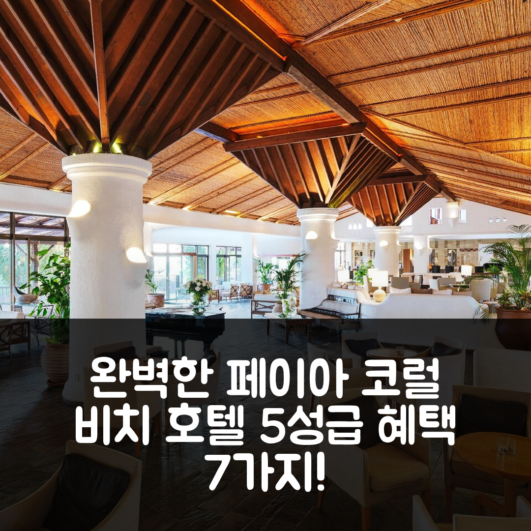 페이아 숙소 여행 호텔 추천 코럴 비치 호텔 앤 리조트 | 5성급 조식과 수영장으로 완벽한 가치 7가지 팁