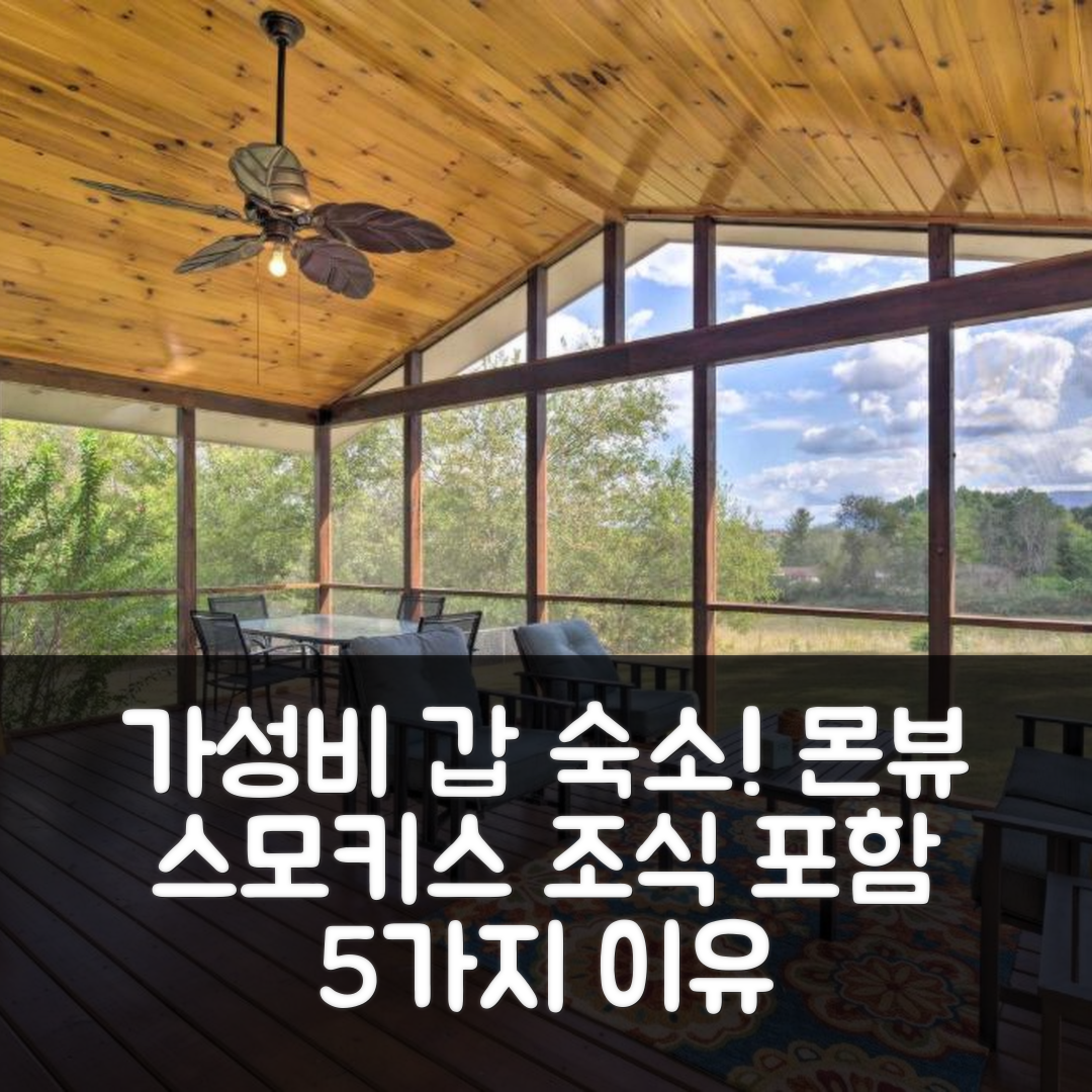 시모어 숙소 여행 호텔 추천 몬뷰 스모키스 주주스 하우스 | 조식과 가성비 뛰어난 5가지 이유