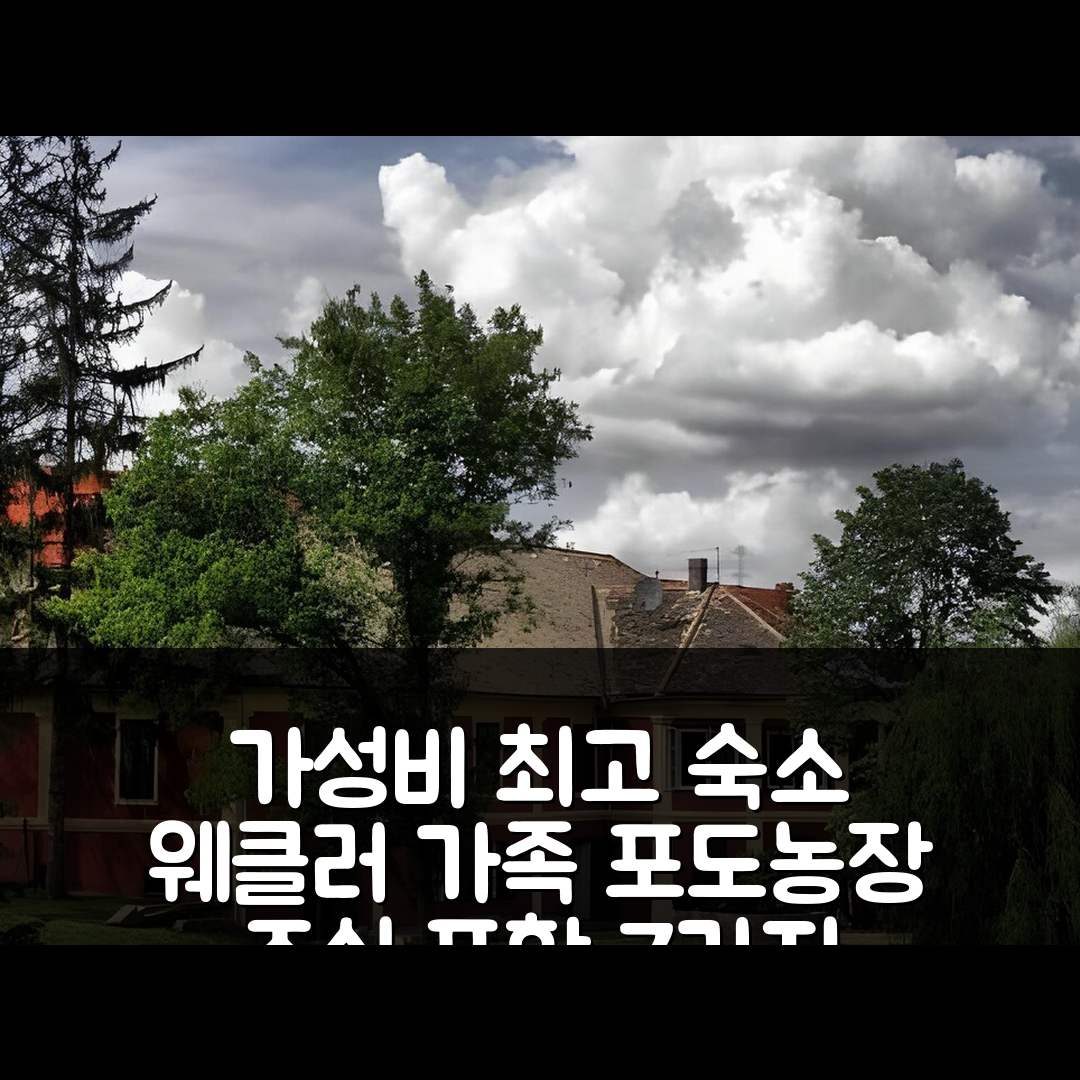 메스섹나드아스 숙소 여행 호텔 추천 웨클러 가족 포도 농장 및 팬지오 | 조식과 가성비 뛰어난 추천 이유 7가지