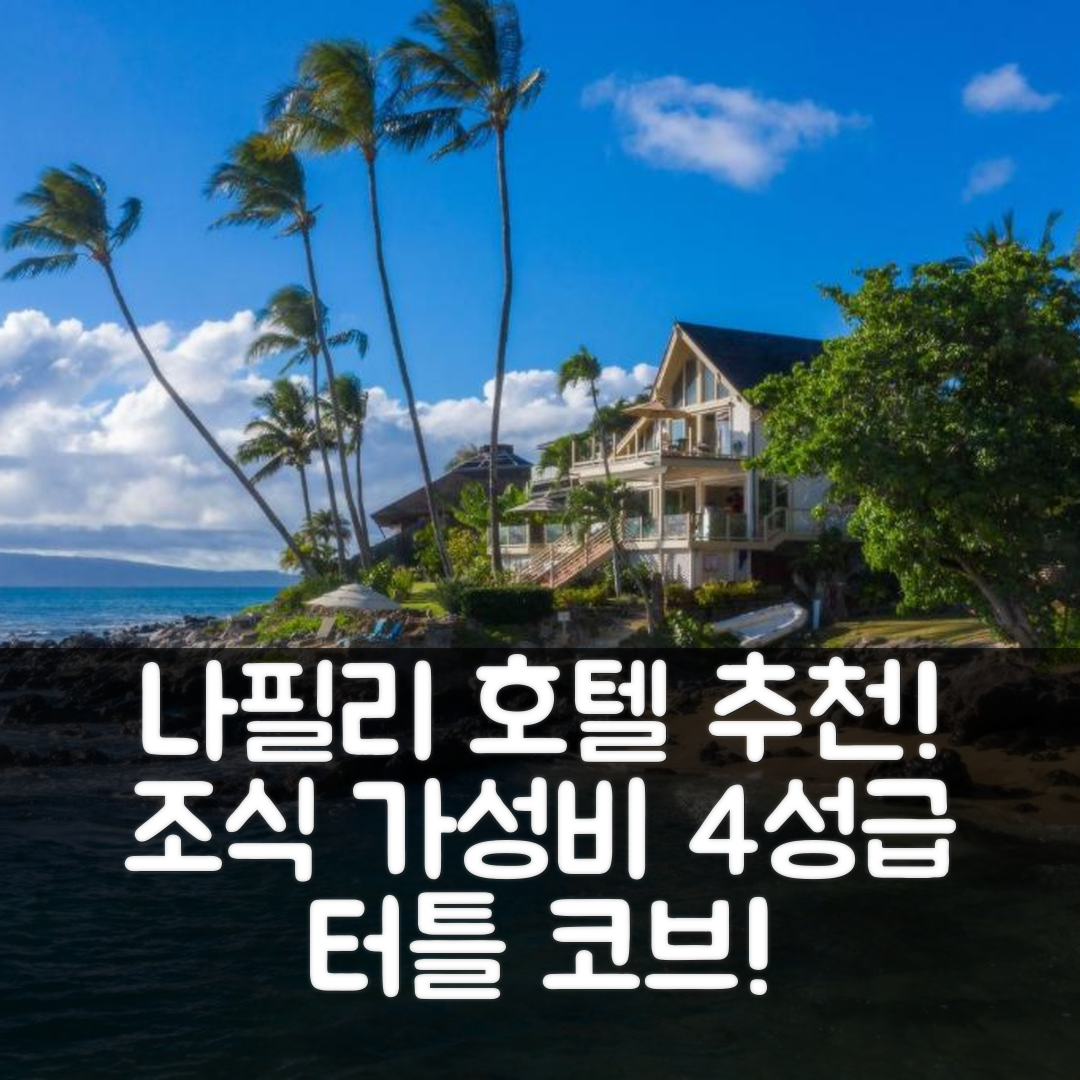 나필리-호노코와이 숙소 여행 호텔 추천 터틀 코브 홈 | 4성급 조식과 위치, 가성비 뛰어난 7가지 이유