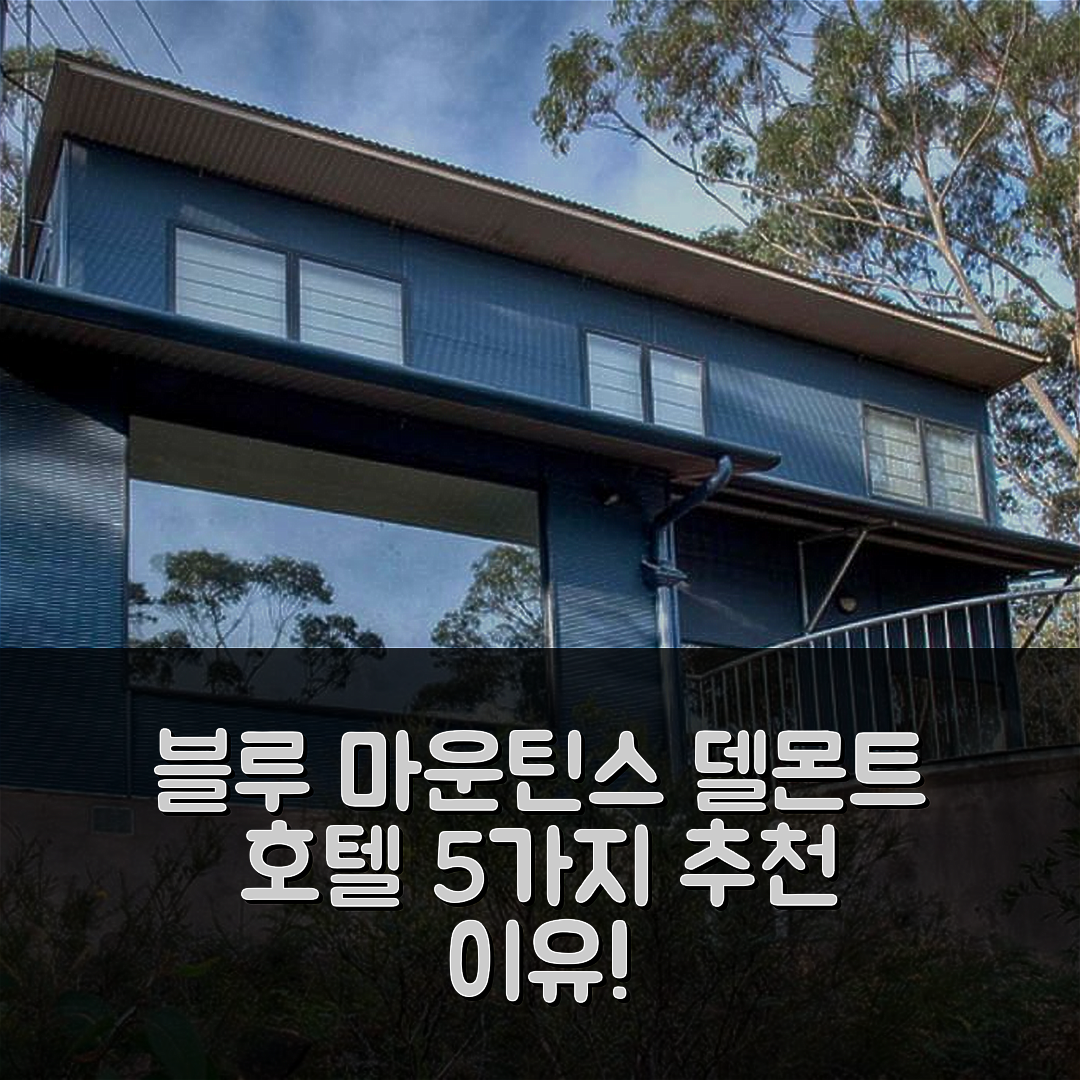 블루 마운틴스 숙소 여행 호텔 추천 델몬트 호텔 | 가성비 뛰어난 조식과 수영장 5가지 이유