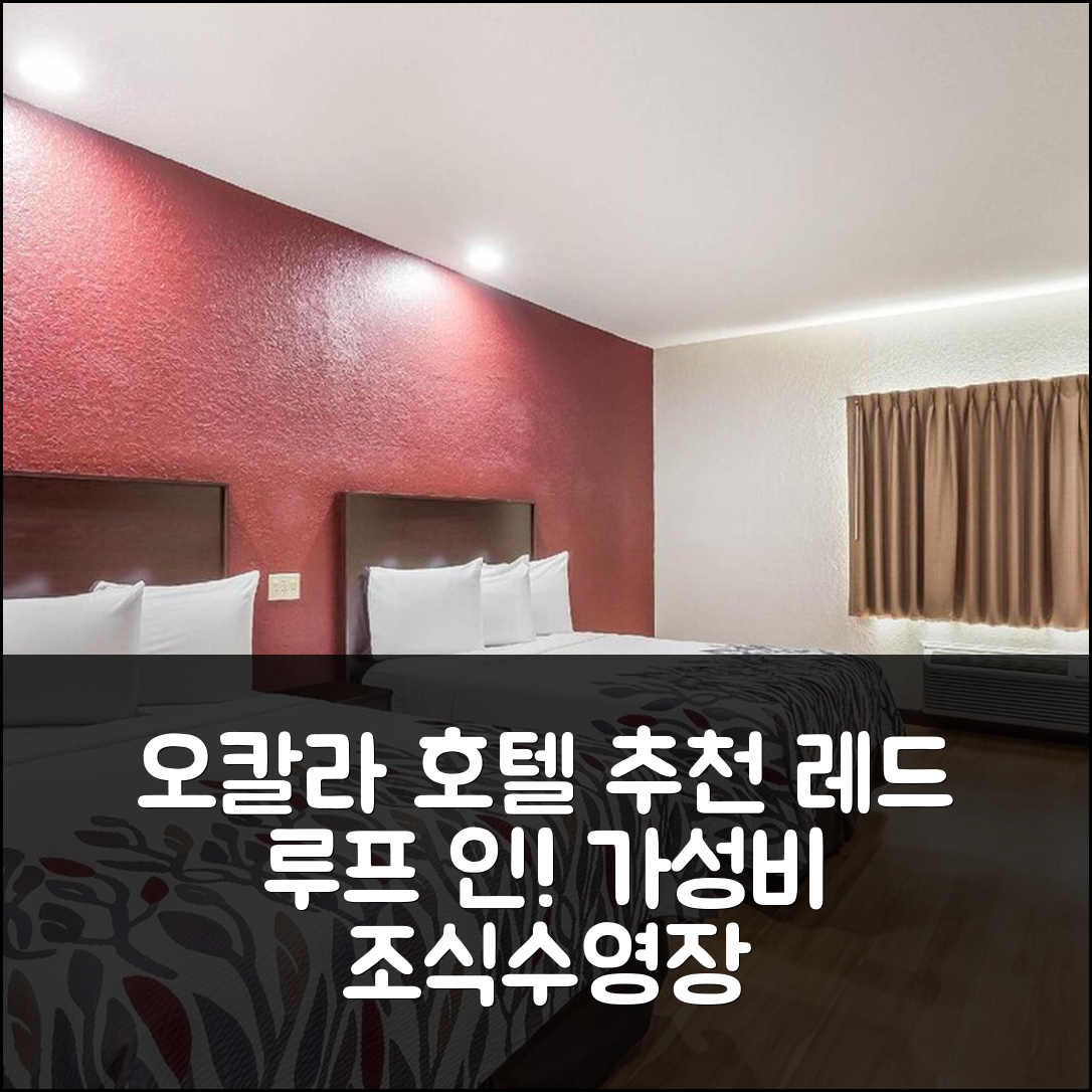오칼라 숙소 여행 호텔 추천 레드 루프 인 오칼라 | 가성비 뛰어난 조식과 수영장 정보 5가지