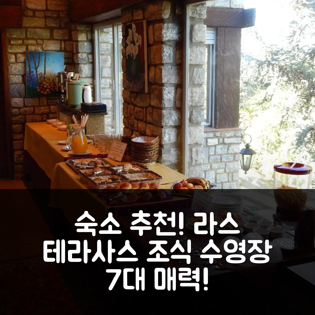 라 팔다 숙소 여행 호텔 추천 라스 테라사스 리조트 | 조식, 수영장, 가성비 7가지 매력 포인트