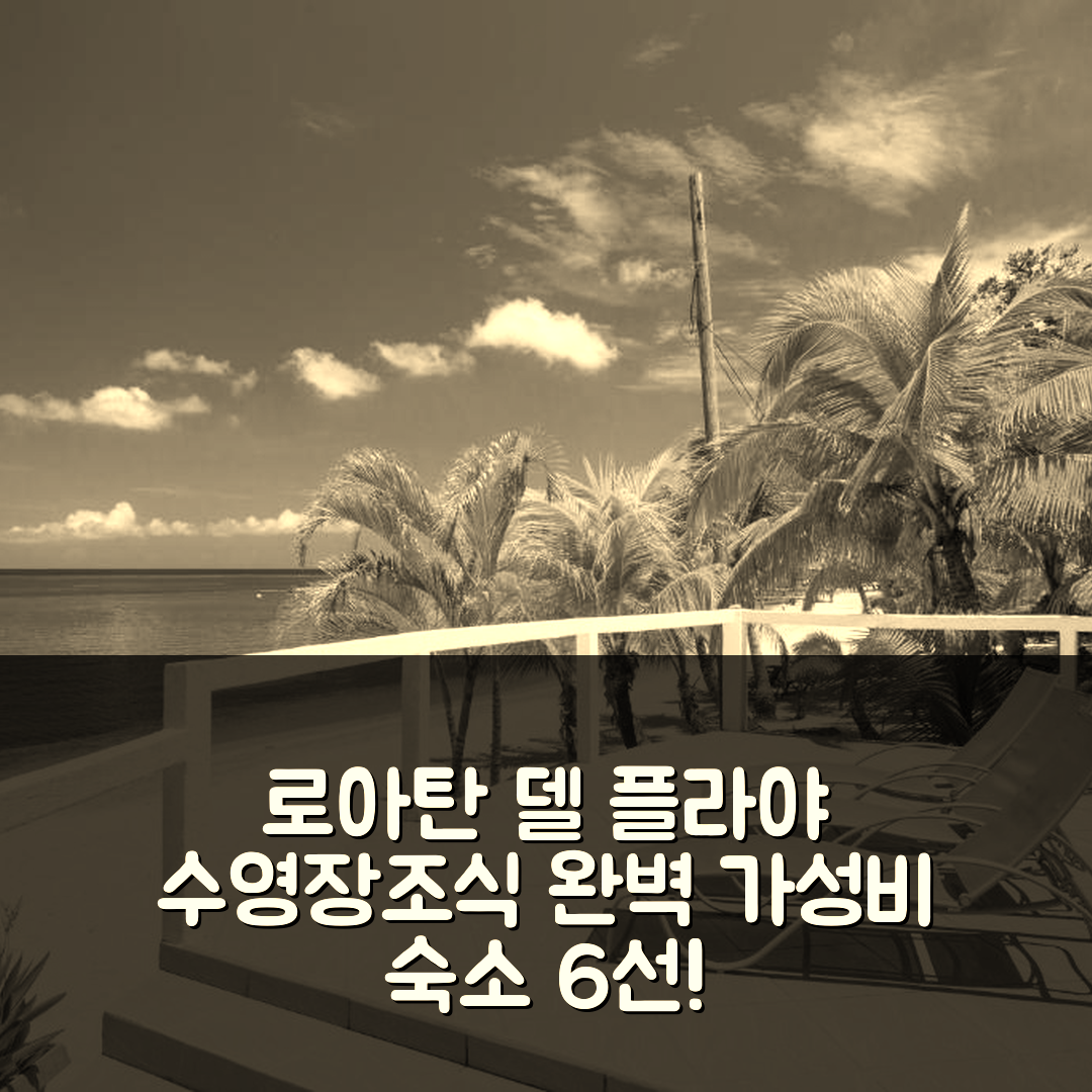 로아탄 섬 숙소 여행 호텔 추천 델 플라야 4 콘도 | 수영장 조식 가성비 좋은 6가지 이유