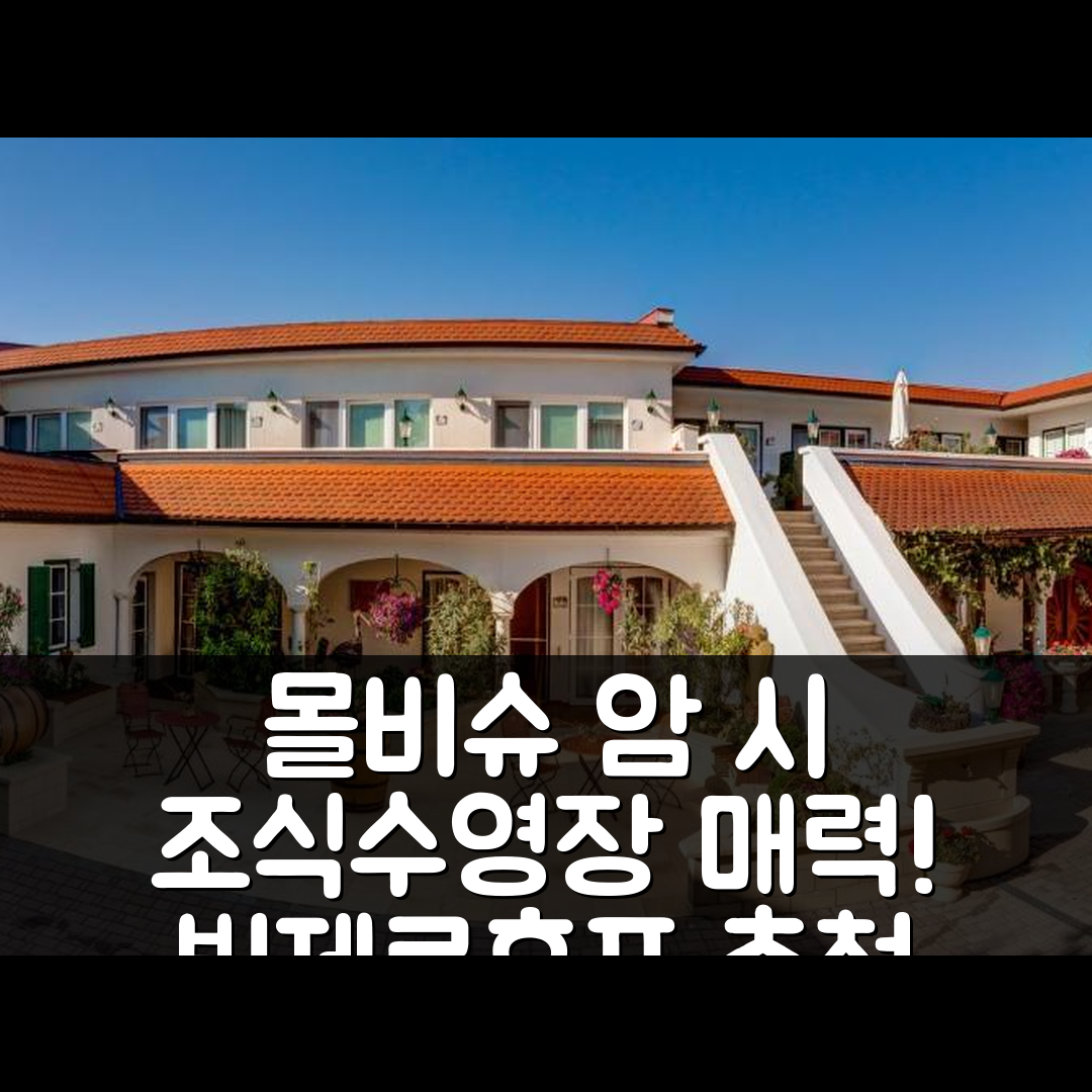 몰비슈 암 시 숙소 여행 호텔 추천 빈제르호프 슈린들러 | 조식과 수영장이 매력적인 5가지 이유