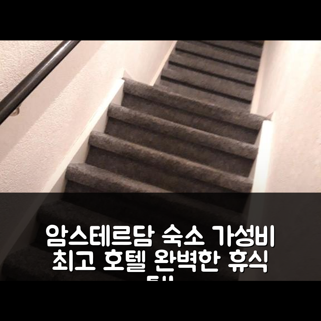 암스테르담 숙소 여행 호텔 추천 호미 버젯 베드룸 | 가성비 뛰어난 조식과 위치로 완벽한 휴식 5가지 팁