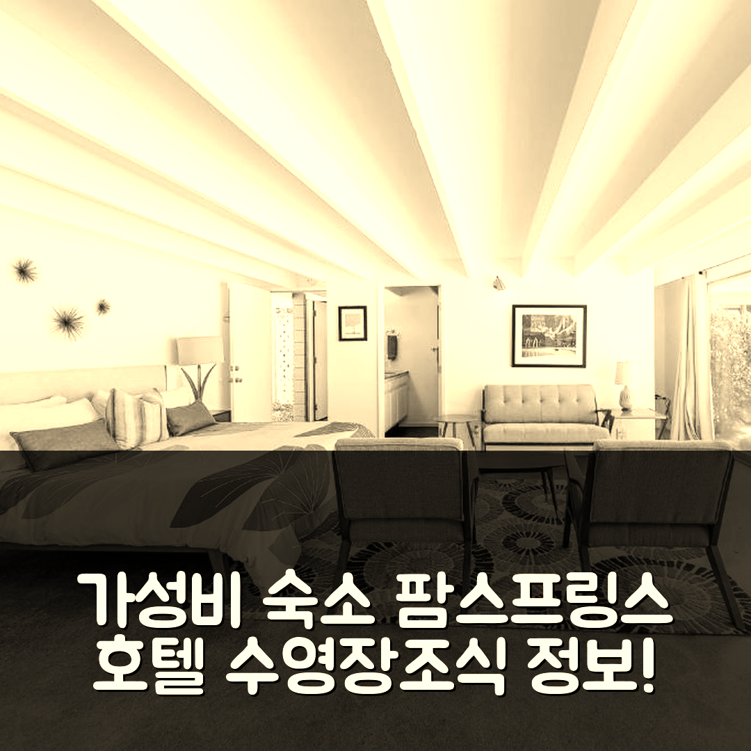 팜스프링스 숙소 여행 호텔 추천 더 애로우 오브 트윈 팜스 호텔 | 가성비 뛰어난 수영장과 조식 정보 5가지