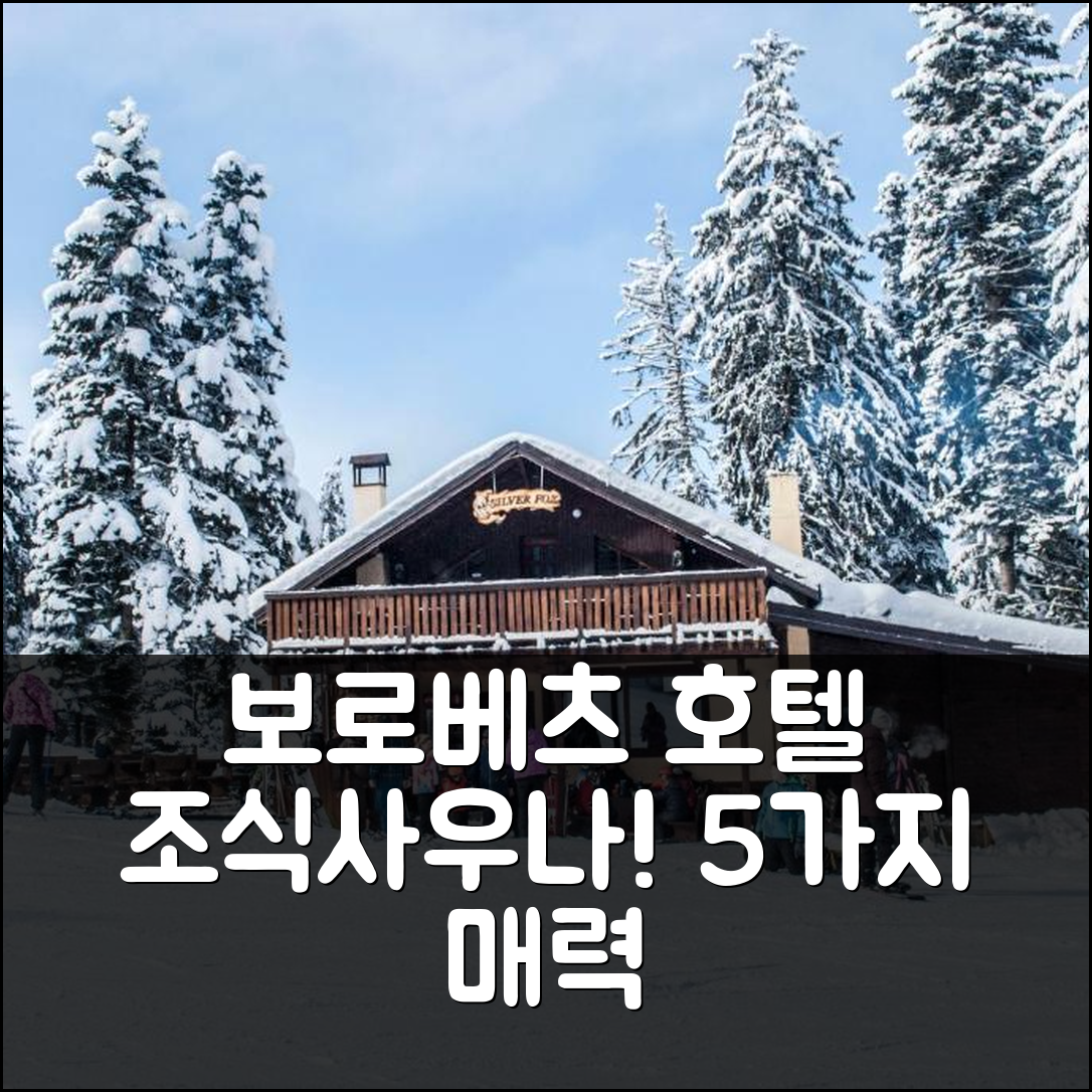 보로베츠 숙소 여행 호텔 추천 알파인 스키 샬레 | 조식과 사우나로 즐기는 5가지 매력