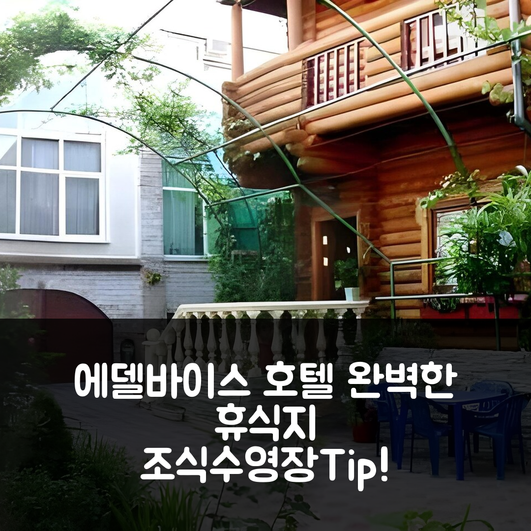 아들레르 숙소 여행 호텔 에델바이스 호텔 | 4성급 조식과 수영장으로 완벽한 휴식지 5가지 팁