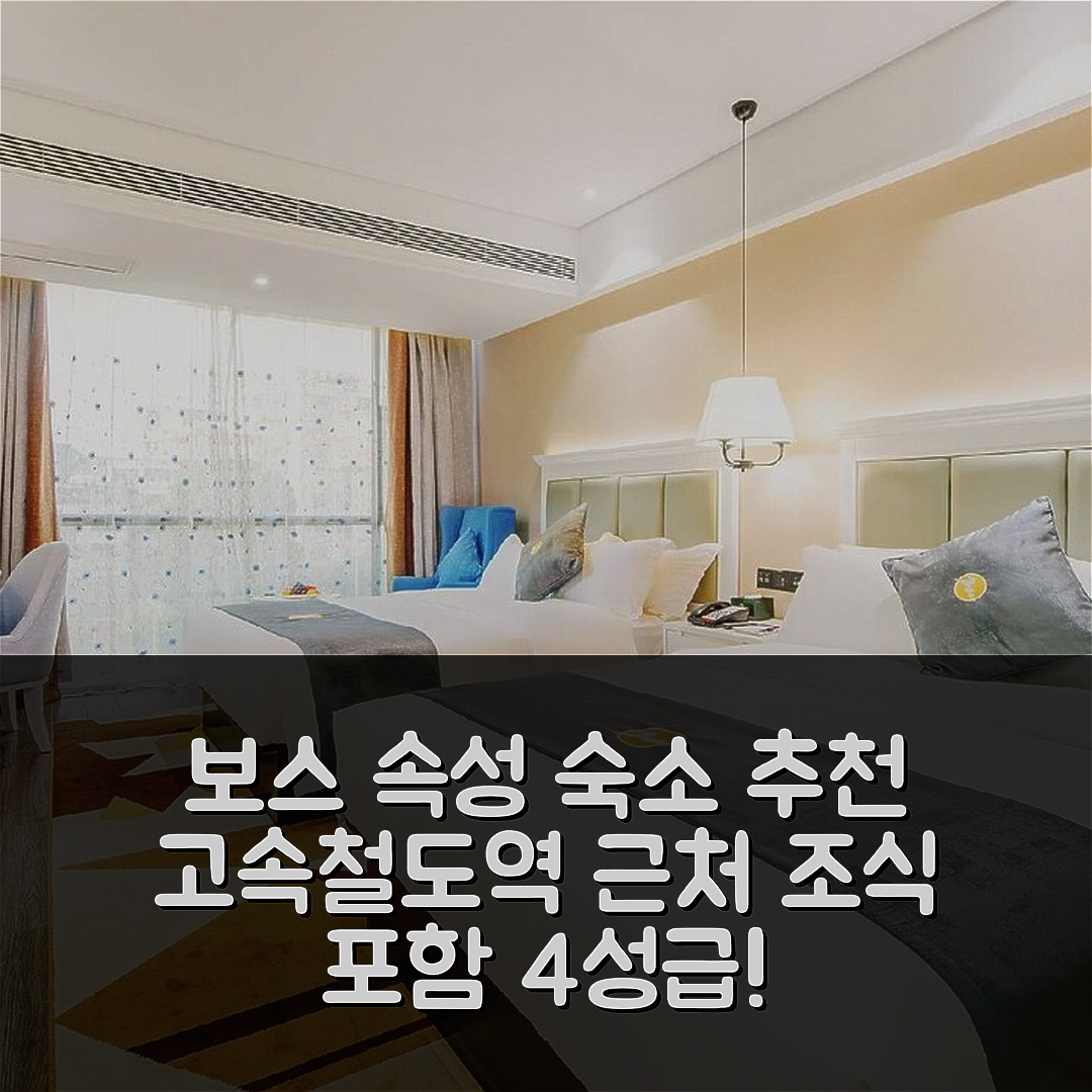 바이써 숙소 여행 호텔 추천 보스 고속철도역 | 4성급 가성비와 조식, 위치 및 예약 팁 6가지