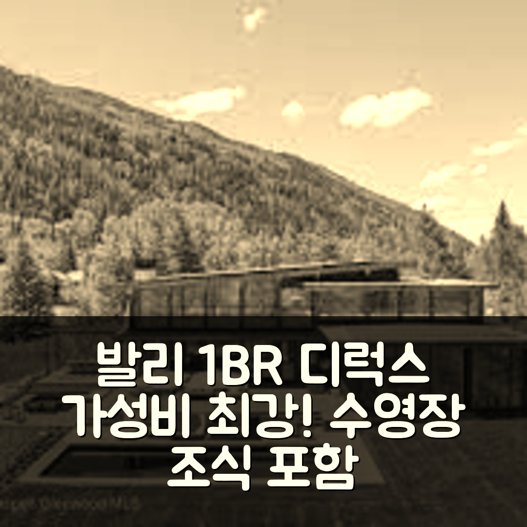 발리 숙소 여행 호텔 추천 다네스와라 1 BR 디럭스 룸 DH29 | 가성비 뛰어난 가격과 수영장 조식 정보 5가지