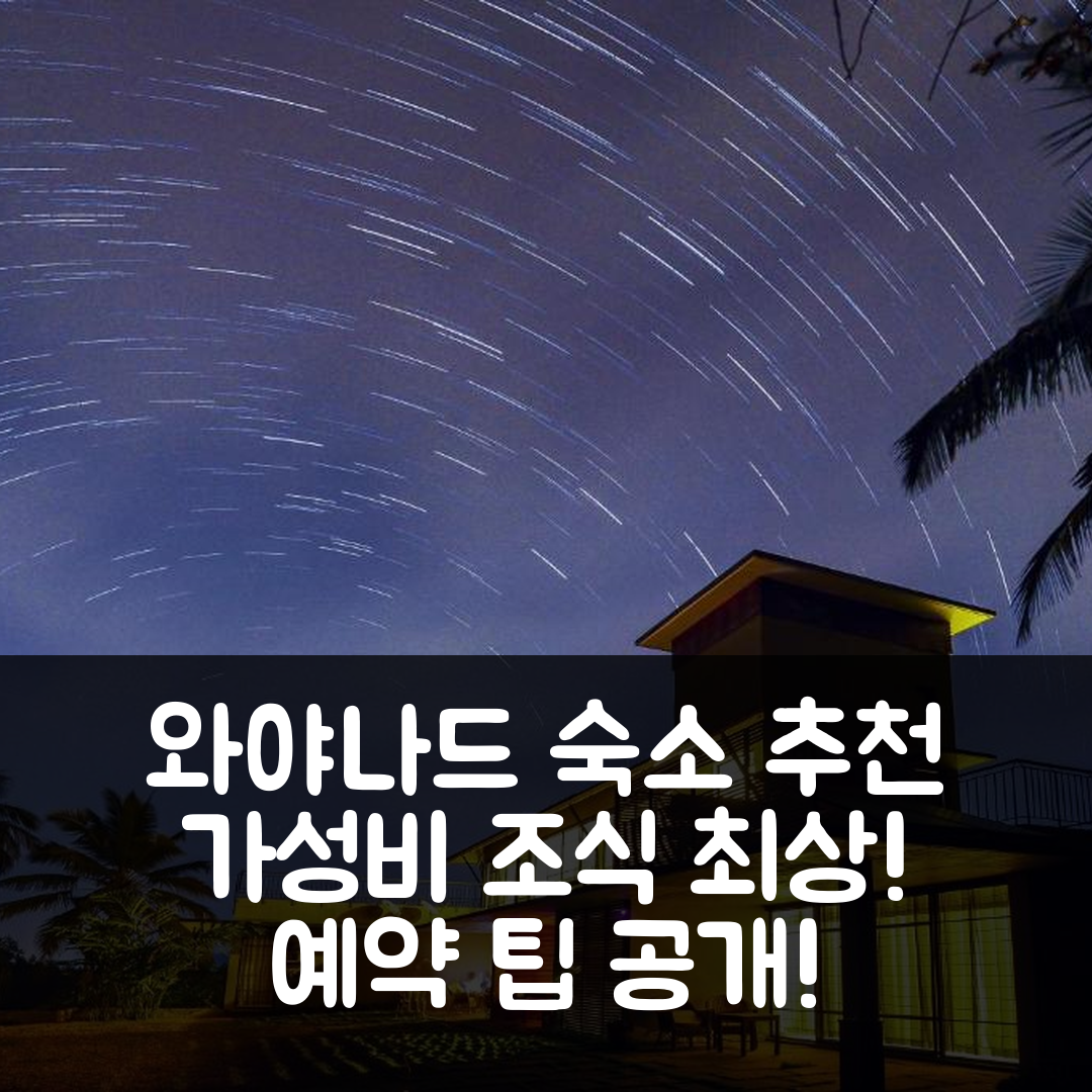 와야나드 숙소 여행 호텔 추천 호메스테이 나마하 | 가성비와 조식이 뛰어난 5가지 이유와 예약 팁