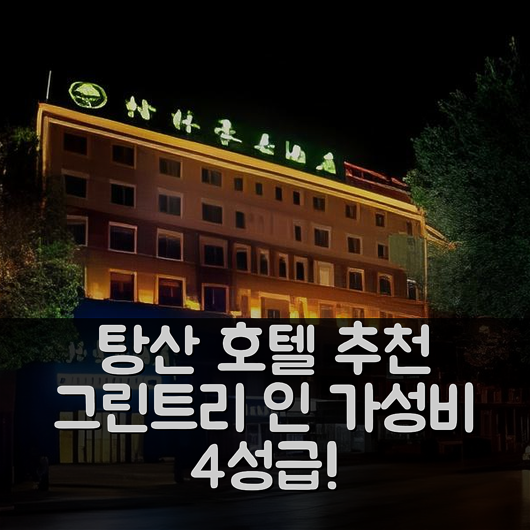 탕산 숙소 여행 호텔 추천 그린트리 인 탕산 루베이 디스트릭트 에기안 씨 | 가성비 좋은 4성급 위치와 조식 5가지 장점