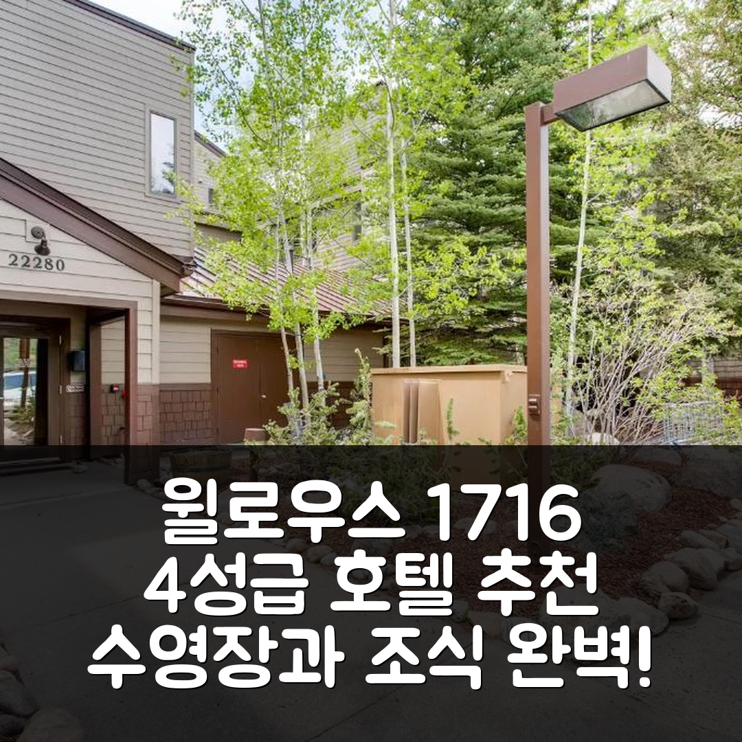 키스톤 숙소 여행 호텔 추천 윌로우스 1716 호텔 | 4성급 수영장과 조식이 매력적인 이유 5가지