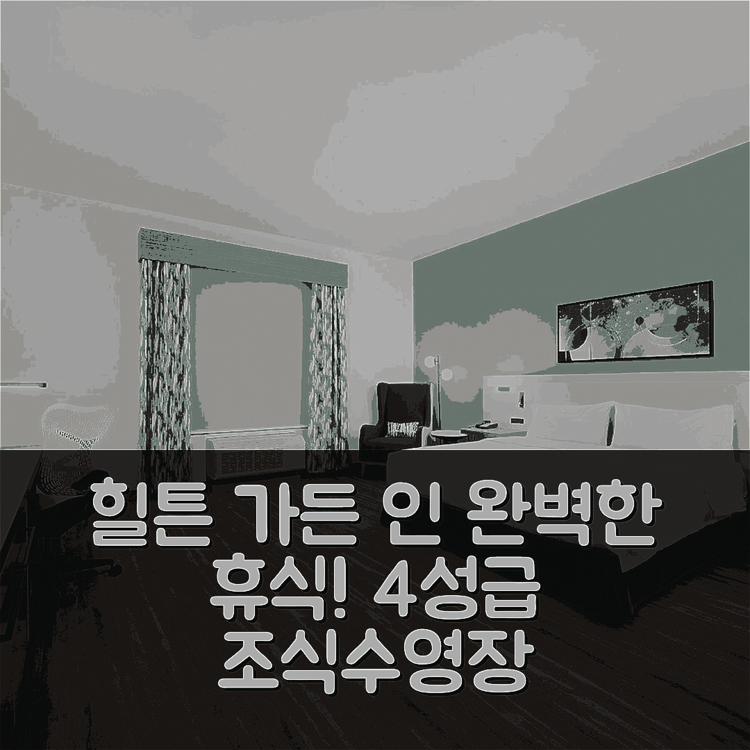 웹스터 숙소 여행 호텔 추천 힐튼 가든 인 휴스턴 클리어 레이크 나사 | 4성급 조식과 수영장으로 즐기는 완벽한 휴식 팁 7가지